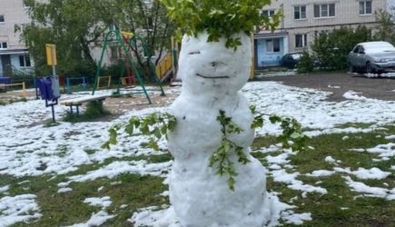 Снеговик на 10 мая