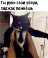 Про кота в пиджаке