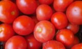 Что произойдет с организмом, если начать есть помидоры каждый день