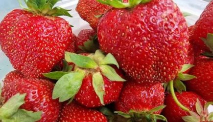 Как очистить клубнику от хвостиков: 3 способа &ndash; и все быстрые