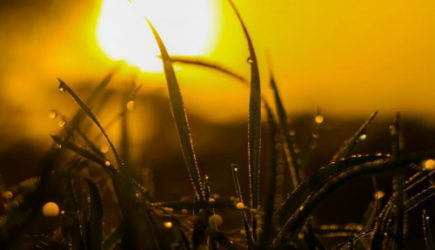 &laquo;Август даст всем прикурить&raquo;. Синоптики составили новый прогноз на конец лета