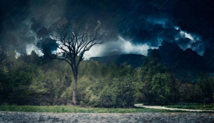 &laquo;В августе начнется климатический ужас&raquo;. Синоптики озвучили новый прогноз на конец лета