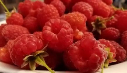 Как нужно замораживать малину: о правилах мало кому известно &ndash; ошибки допускают практически все