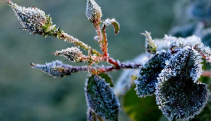 &laquo;Сентябрь будет абсолютно аномальным&raquo;. Синоптики сказали, к чему готовиться