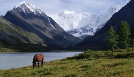 Между Россией и&nbsp;Казахстаном возник территориальный вопрос