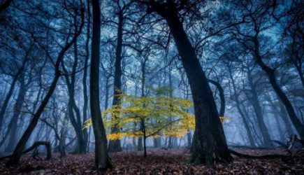 &laquo;Весь сентябрь будет аномальным&raquo;. Синоптики дали новый прогноз на начало осени