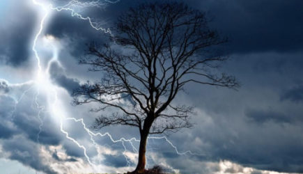 &laquo;Информация по сентябрю пугающая&raquo;. Синоптики сказали, к чему готовиться в начале осени