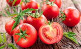 Стало известно, кому нельзя есть помидоры