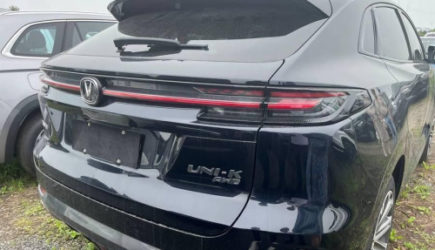 &laquo;Уже точно&raquo;: россияне могут лишиться уже привезенных из-за рубежа машин