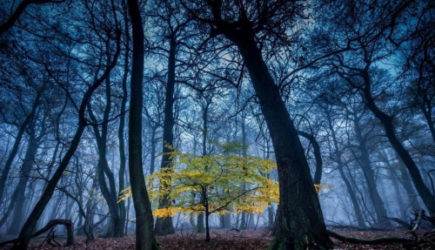 &laquo;Октябрь и ноябрь будут сумасшедшими&raquo;. Синоптики сказали, к чему готовиться