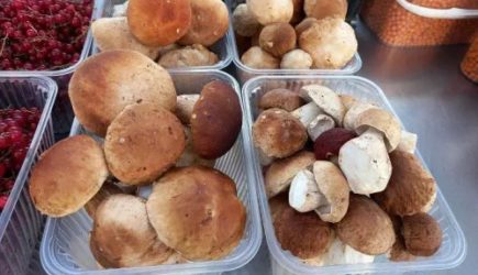 Названы пять продуктов, которые продлевают жизнь: ешьте, не прогадаете