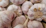 Как сохранить чеснок до лета: названы самые простые способы