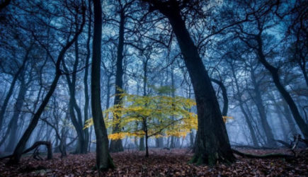 &laquo;Весь ноябрь будет аномальным&raquo;. Синоптики дали новый прогноз на конец осени