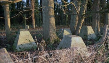 Кто выбил «зубы» дракону?