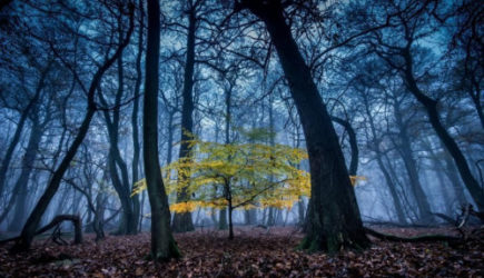 &laquo;Поступила новая информация&raquo;. Синоптики резко изменили прогноз на ноябрь