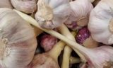 Почему нужно есть чеснок и как правильно это делать