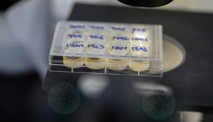 Эксперт раскрыл причины пандемии коронавируса и ее связь с США