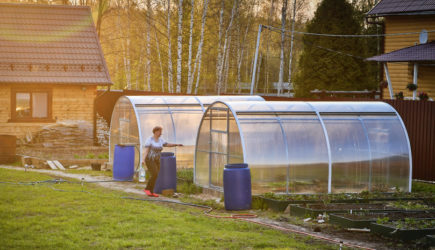 За бани, теплицы и сараи: с 2025 года владельцы хозпостроек с фундаментом будут платить налог