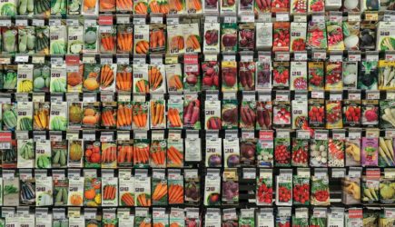 Поддельные семена для рассады: вычисляем в магазине по пяти признакам