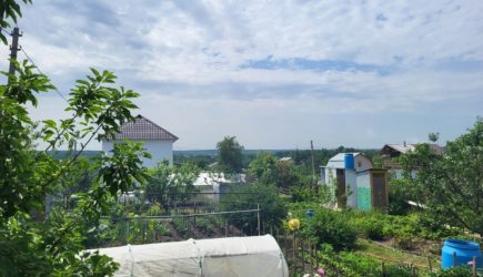 Каким будет лето 2025 после аномально теплой зимы: мнение экспертов о том, что ждёт дачников