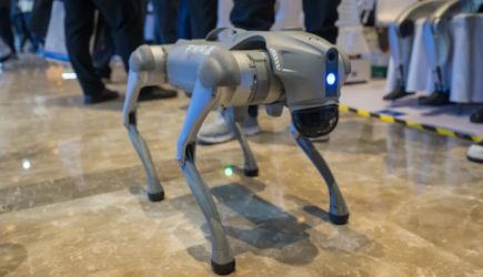 Собаки-роботы ловят Ким Чен Ына в подземном бункере. Южная Корея с Америкой провели странные учения