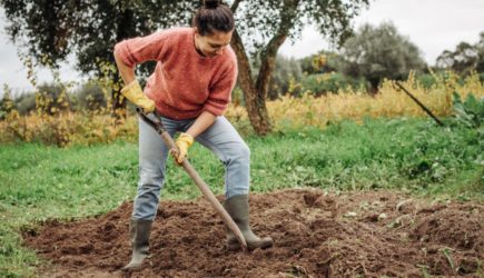 Картошка не влезет в машину! Секрет мегаурожая: успейте внести это в грунт