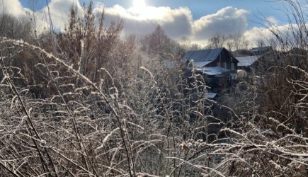 Заморозки уже близко: аномальная жара марта предвещает климатическую катастрофу