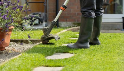 Агроном дал совет, как защитить дачный дом от разрушительного сорняка