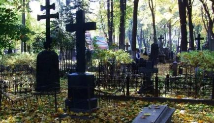 В РПЦ призвали не оставлять на могилах еду, привлекая животных