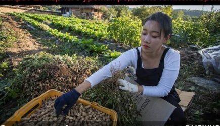 Корейский способ выращивания овощей: хитрость, которая удивит огородников!