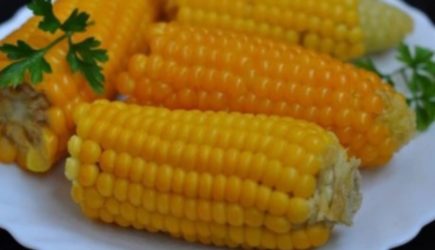 Волшебные свойства вареной кукурузы