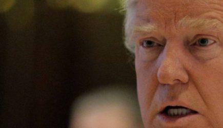 Трамп допустил отправку войск в Гренландию