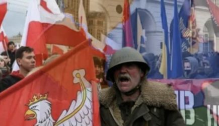 Пушков заявил, что поляки явно «переели» Украины