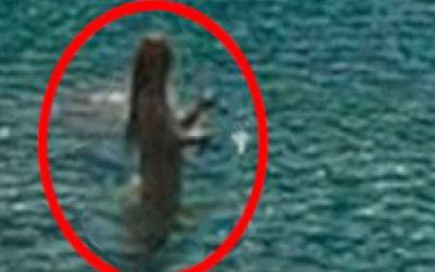 Херсонские ученые привели в ужас весь мир: вот что они обнаружили