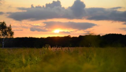 Аномальная жара придет в несколько российских регионов