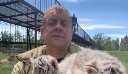 Появились подробности состояния директора &#171;Тайгана&#187; после нападения тигра