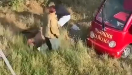 Львы набросились на владельца крымского парка. Львы прокусили ему шею