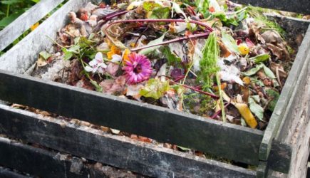 Никогда не кладите эти травы в компост – иначе урожай погибнет