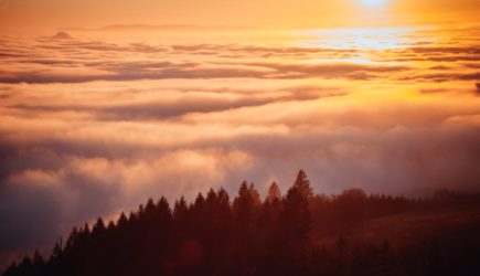 Что нельзя делать 6 июля, в день Аграфены Купальницы, чтобы не подвергнуть себя опасности