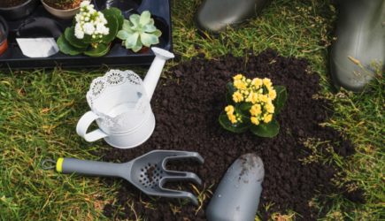 С 1 июля полностью запрещены такие скважины на дачном участке – нарушения влекут последствия