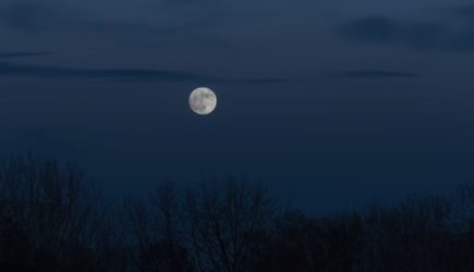 Что опасно делать 10 июля в Оленье полнолуние  – ценные советы астролога