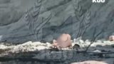 Туристы занялись сексом на пляже курортного города России и попали на видео