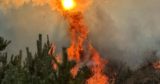 Лесной пожар достиг жилых районов в турецкой Бурсе