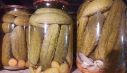 Секрет хрустящих соленых огурцов: что положить в банку кроме укропа