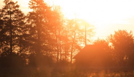 Что нельзя делать 14 августа, в Медовый спас, чтобы не испортить себе последний месяц лета