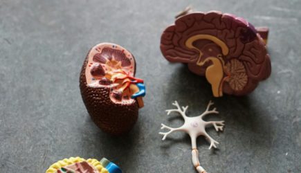 Вредные советы в борьбе с деменцией, которые не помогают