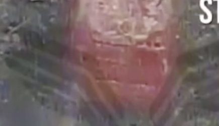 Российские БПЛА уничтожили американскую технику на Украине