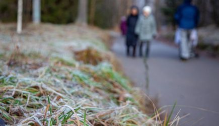 Жителей ряда регионов предупредили о заморозках