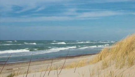 Что называют Взморьем, Приморьем, Подлеморьем и Поморьем?