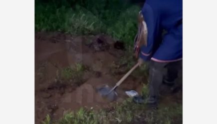 Сатанисты заживо закопали двух человек в российском регионе и попали на видео